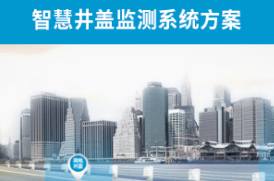 智慧井蓋監(jiān)管服務(wù)系統(tǒng)